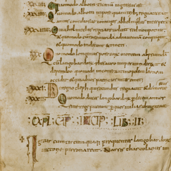 Greek and Latin Manuscripts. Libraries in the Ancient World and during the Middle Ages