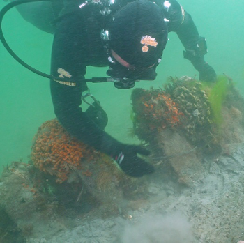 I subacquei in fase di monitoraggio del relitto inedito