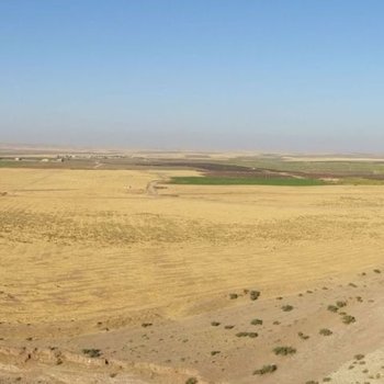 Panoramica della piana di Navkur dal sito di Tell Gomel