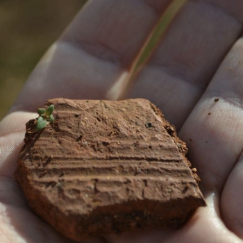 Frammento di ceramica risalente al III millennio a.C. recuperato durante le operazioni di ricognizione