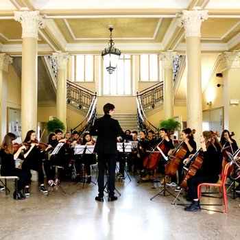 L'Orchestra del Liceo classico Stellini
